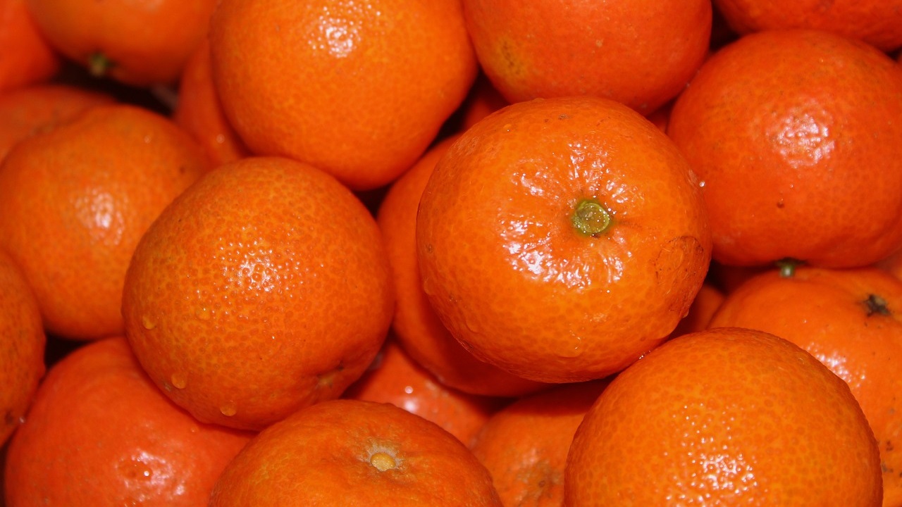 What challenges does Citrus Postharvest face in the second part of the season in 2024.jpg